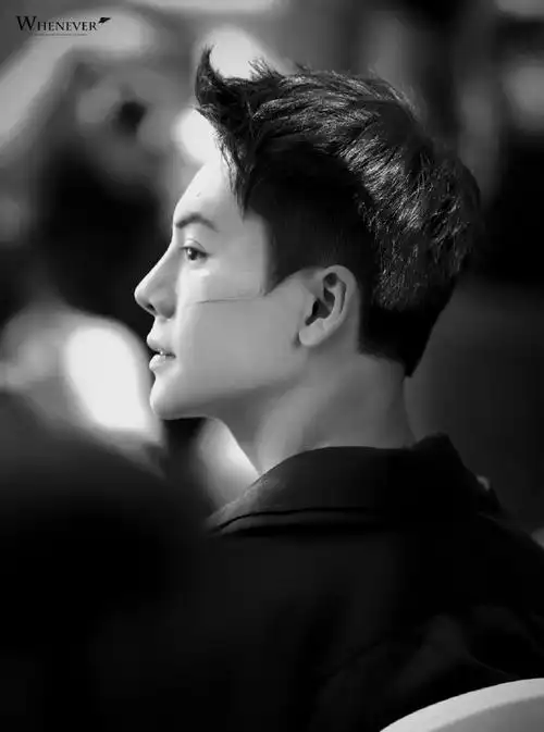 陈伟霆光影侧脸