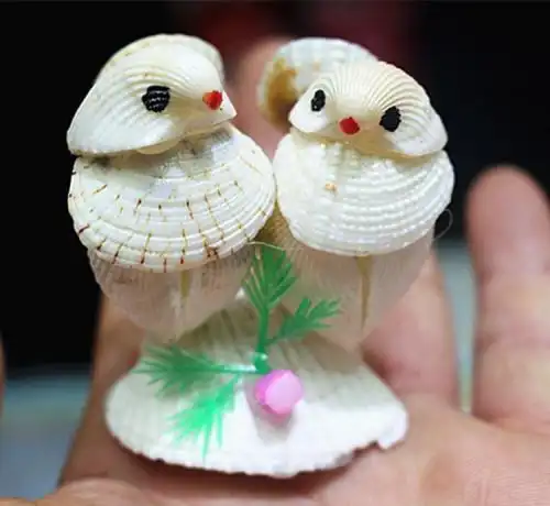 贝壳工艺品怎么做