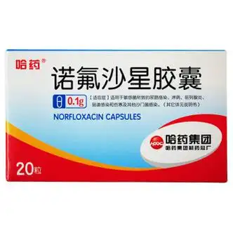 哈药 诺氟沙星胶囊 0.1g*20粒 3盒