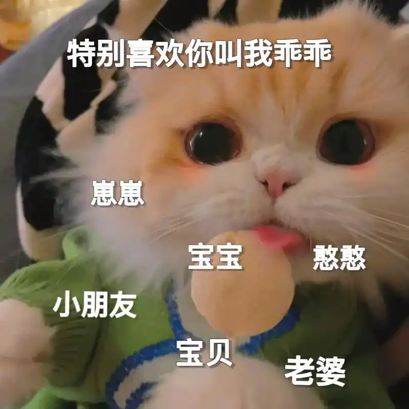 没别的意思,就是很想你了#猫咪表情包 #发给对象表情包 #艾 - 抖音