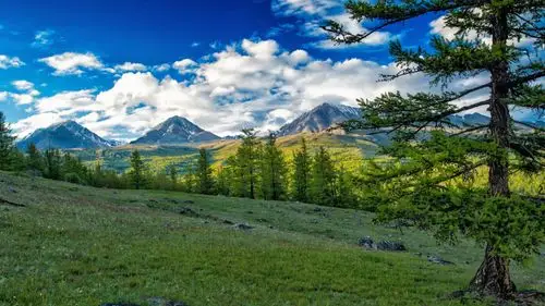 绿色草甸草原风景图片(8/16)