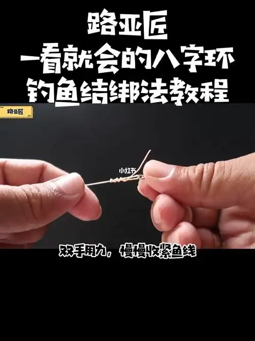 一看就会的八字环钓鱼结绑法教程分享
