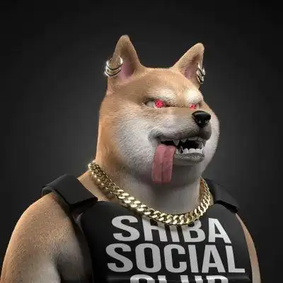 专属帅哥的头像