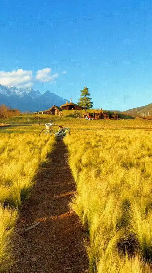 有什么适合微信状态的背景图吗? - 知乎