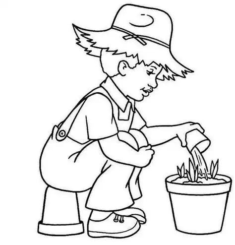 学习种花的简笔画