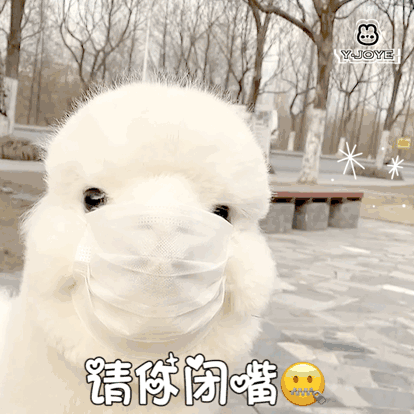 羊驼表情包 草泥马表情包