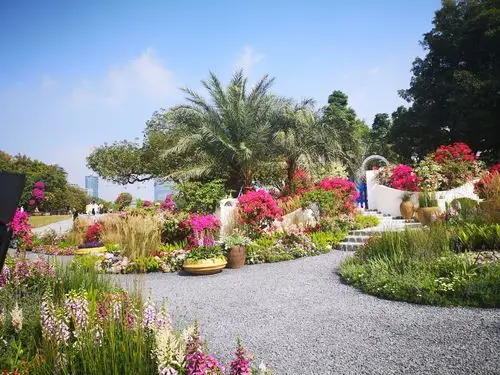 迟来的花展～勒杜鹃