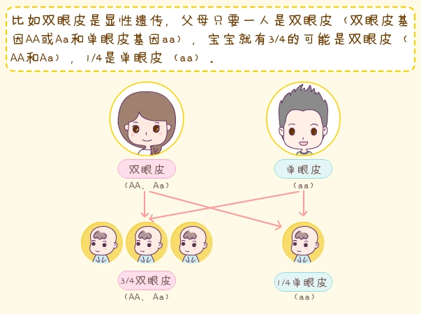 遗传|宝宝|单眼皮_新浪新闻