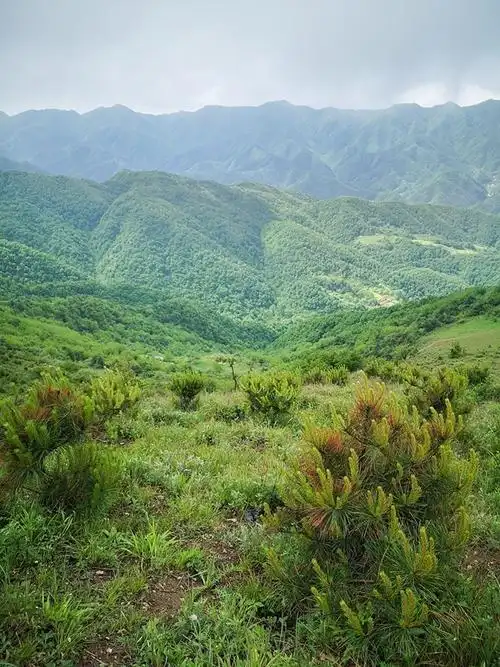 等高线上周大美蓝田流峪高山草甸田园牧场美景平安贴附照片