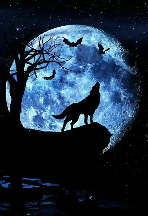 洛亚美 孤狼洛亚