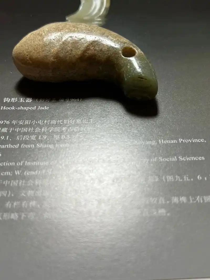 千年红山文化玉蝉.