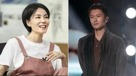 王菲与谢霆锋,两位音乐领域的传奇人物,其间的感情故事如同一曲悠扬的