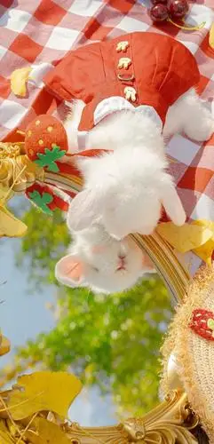 ins风壁纸收集不易侵删78