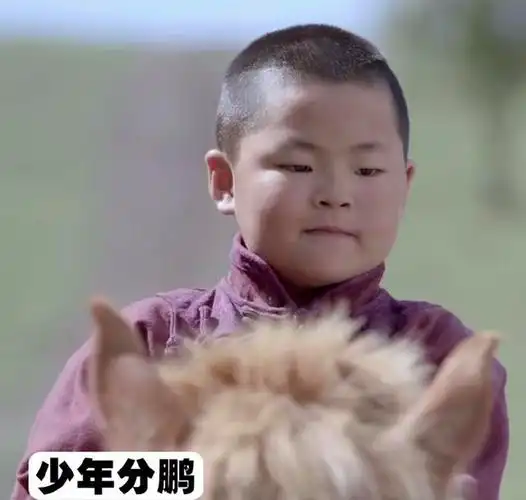 今日欢乐源泉!岳云鹏晒"全球分鹏",和小岳岳撞脸一个比一个像