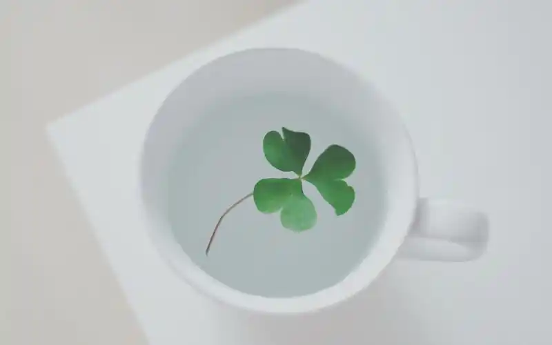 简约风格创意小清新摄影图片桌面壁纸