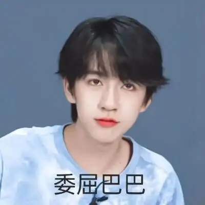 贺峻霖表情包贺峻霖是全世界上最棒的小朋友!但真是土到极致.