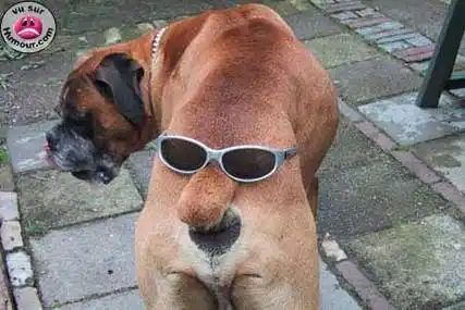 全世界最雷人的照片集锦【二】