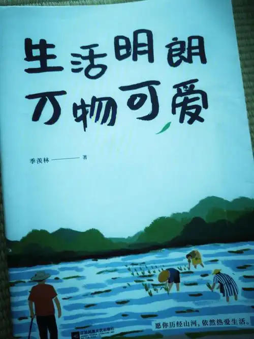 读书札记生活明朗万物可爱
