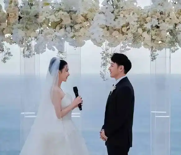 潘玮柏巴厘岛补办婚礼,好友王力宏献唱,孟佳做伴娘-月光资讯网