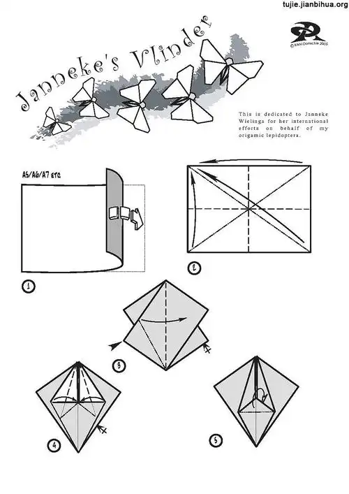蝴蝶折纸教程图解