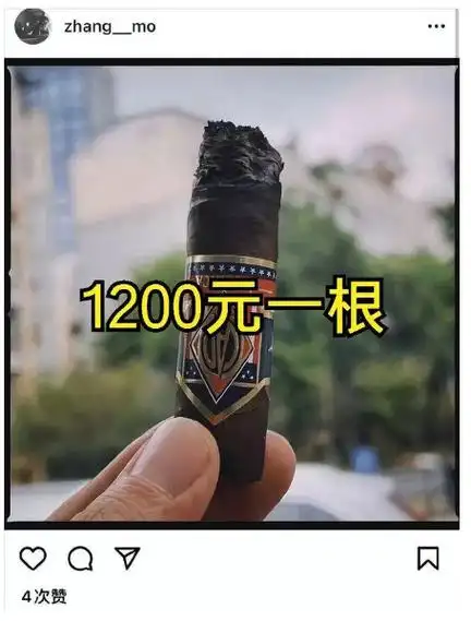 张国立儿子张默现状曝光,开千万豪车抽顶级雪茄,胡子拉碴显憔悴