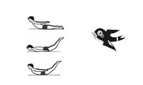 腰痛就练"小燕飞"?没这么简单!