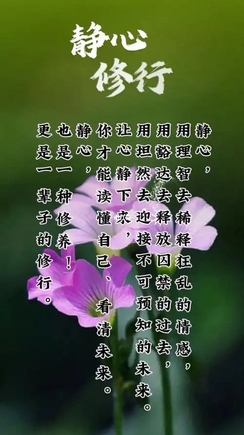 静心是一辈子的修行