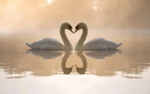 海量高清情侣唯美精选锁屏壁纸图片大全(二)