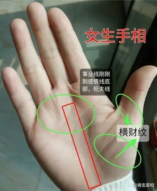 手中有此纹路,容易早年便可成功,属于富贵命相