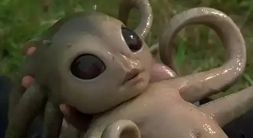 小心!你的邻居脑袋里藏着一个外星人