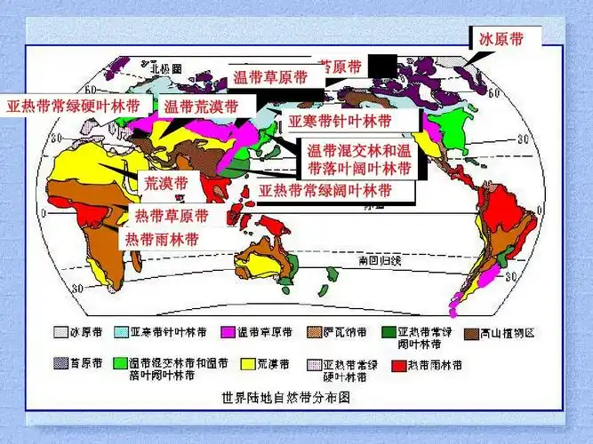 荒漠带 热带草原带 热带雨林带