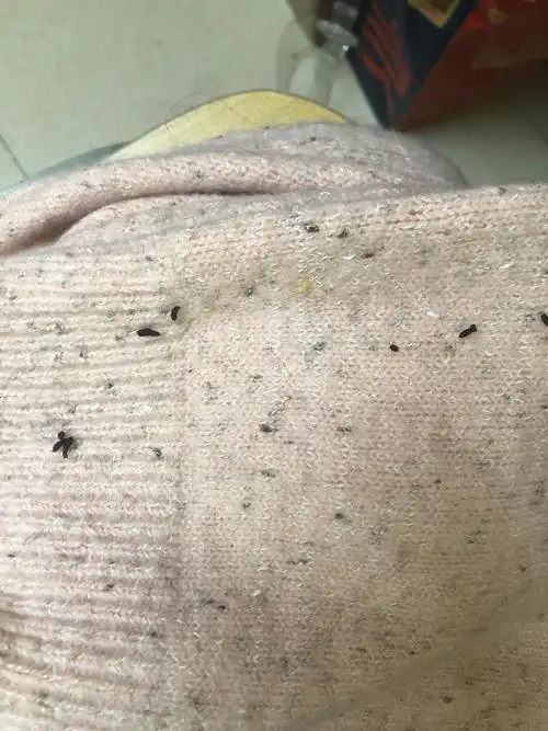 慎入当场去世早上发现衣柜里全是老鼠屎和骨头坚果壳怎么办我要疯了