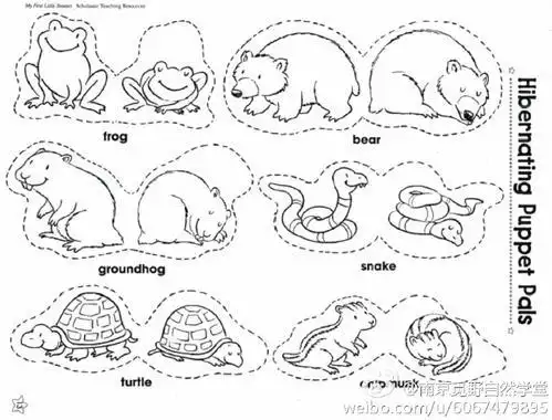 冬眠的动物简笔画9张简笔画表白图片网
