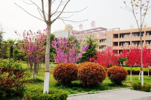 校园风光-富平县蓝光中学