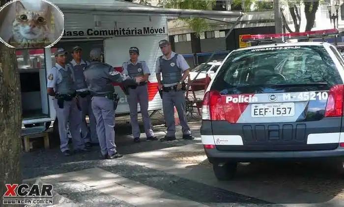 看看巴西周末风警车