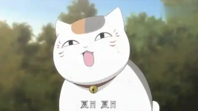 夏目友人帐:肥猫背着小书包,跑得比兔子还快,这也太萌了