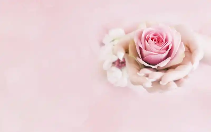 幽默笑话卖萌究竟是褒义词还是贬义词