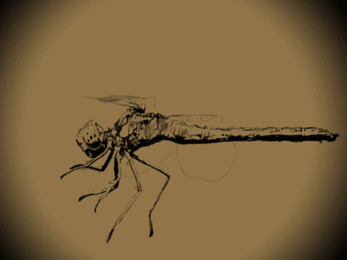 gif蜻蜓变战斗直升机 逐格动画