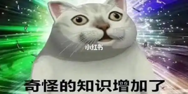 又涨知识 墨村的集美们多了解下 免被罚