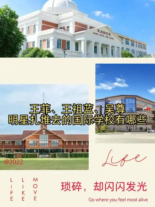 王菲王祖蓝吴尊明星家孩子去哪些国际学校