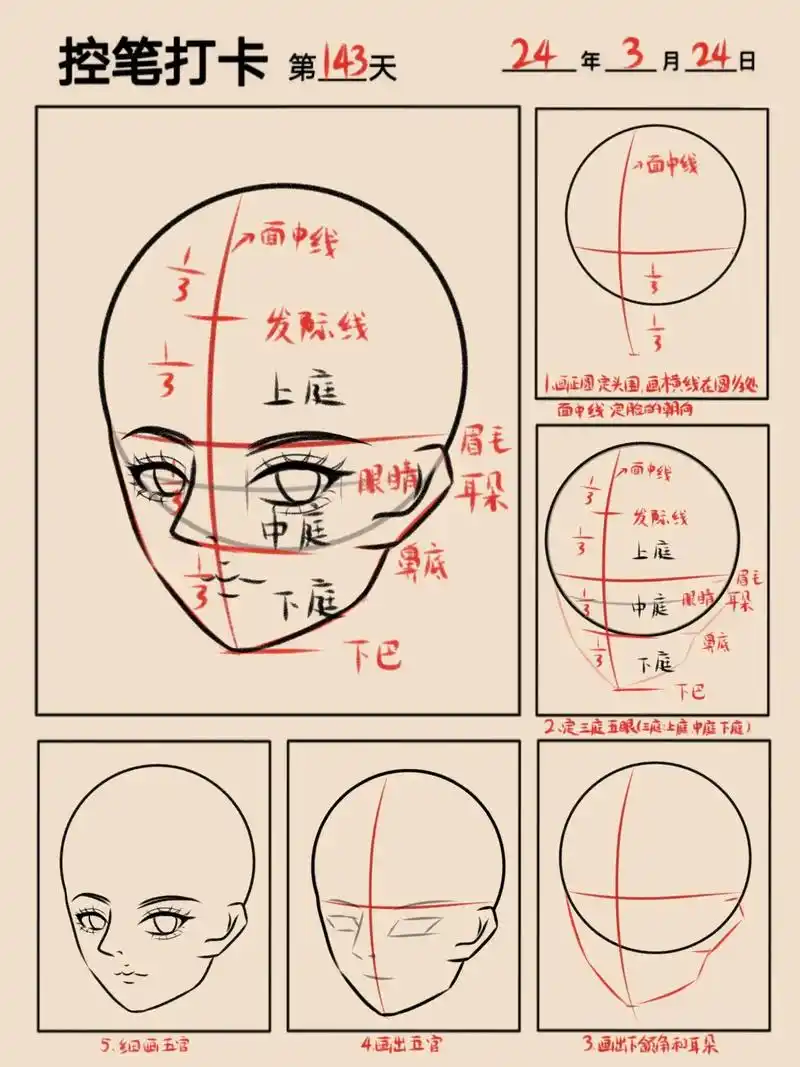 插画师怎样练成的人物头部半侧教程143.零基础学画画 ~动漫 - 抖音