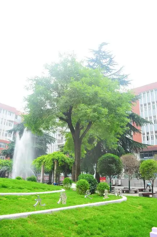 希望萌发 春光在前 丨西安铁一中开学第一讲来啦!