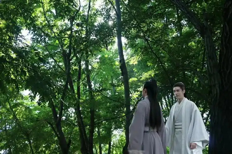 楼主把自己p的:温客行周子舒环游山河背景图放出来了.