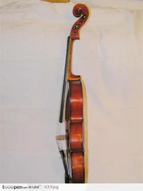 小提琴侧面