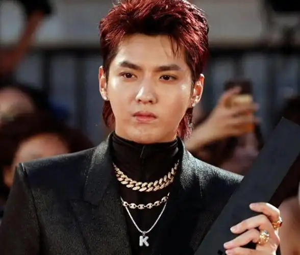 吴亦凡二审维持原判!13年附加驱逐出境,本人还面临巨额索赔