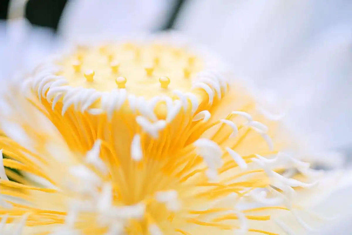 暖色治愈系唯美图片高清电脑壁纸