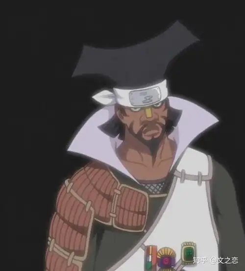 火影忍者历代影图鉴—雷影