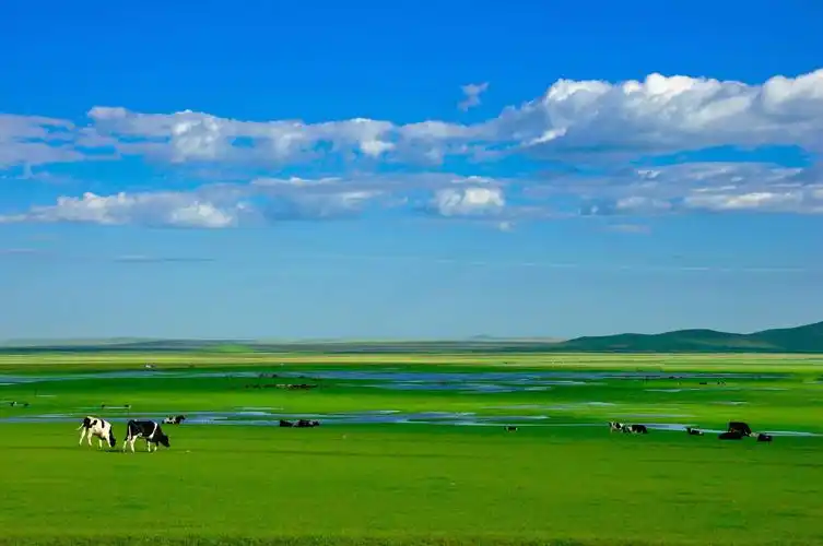 摄影人的天堂呼伦贝尔大草原 - 美篇