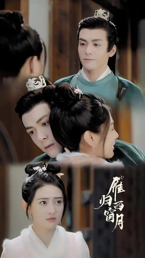 《雁归西窗月》电视剧第19集高清免费在线观看- 云夫影视