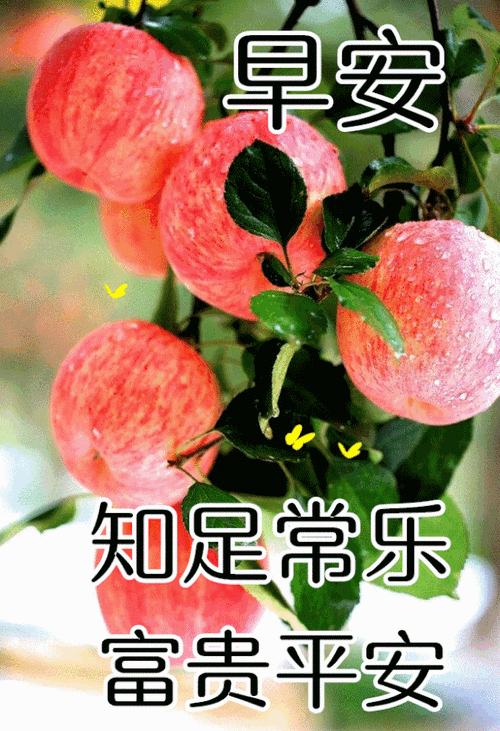 给朋友的早上好暖心祝福语早安问候语图片表情